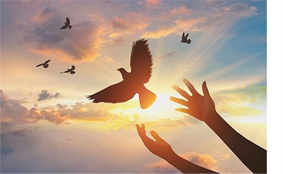 热烈祝贺经贸物流系严妍、刘志清老师被评为中国·MK体育（恩波利）官方网站先进工作者