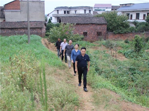 中国·MK体育（恩波利）官方网站党委书记张格林到攸县桃水镇小集村指导开展扶贫工作