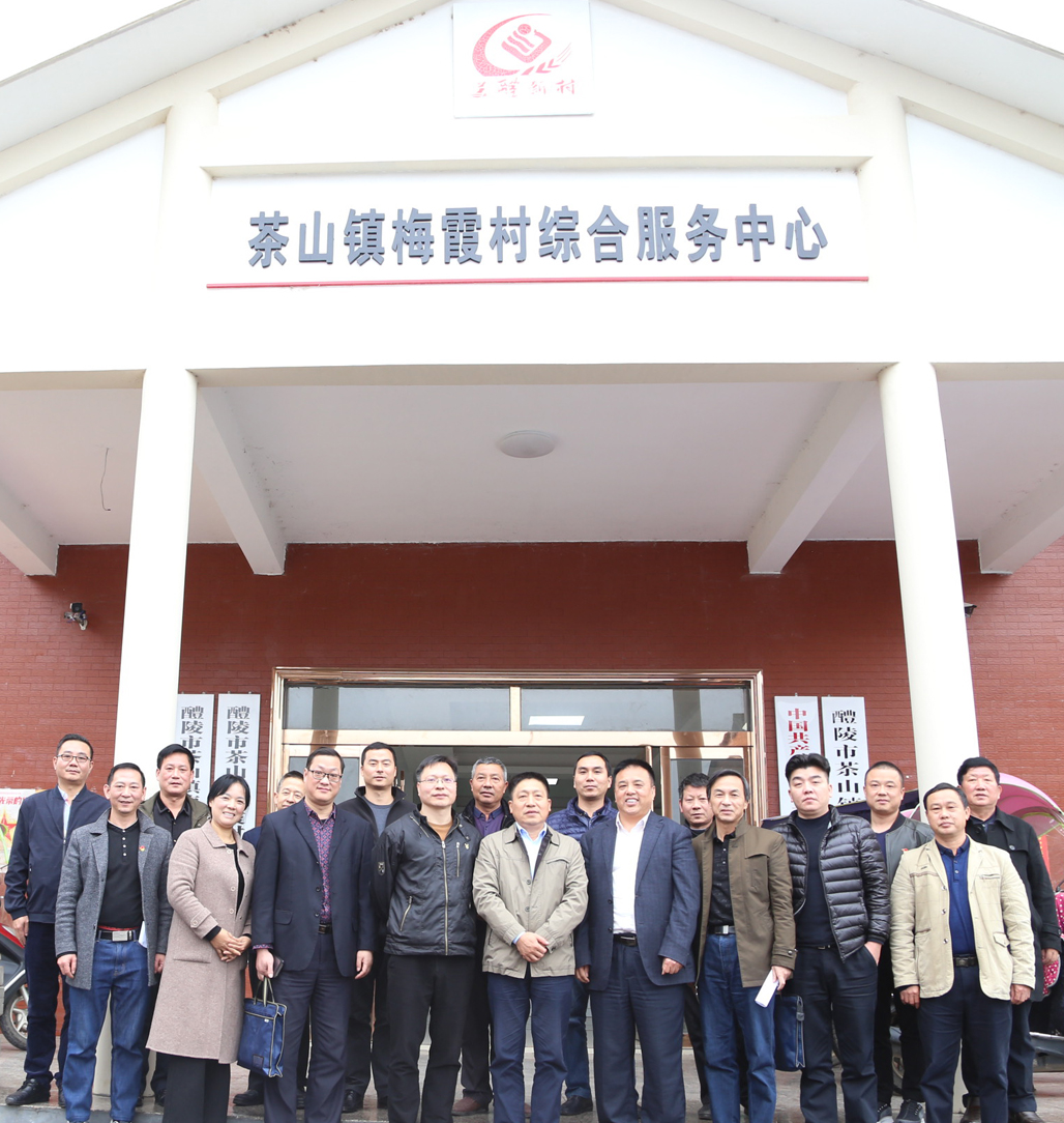 中国·MK体育（恩波利）官方网站党委书记张格林深入茶山镇梅霞村指导脱贫攻坚工作