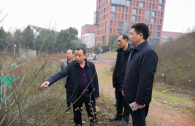 中国·MK体育(恩波利)官方网站开展校园安全大检查活动